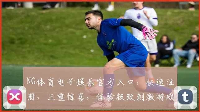 NG体育电子娱乐官方入口，快速注册，三重惊喜，体验极致刺激游戏，畅享不停