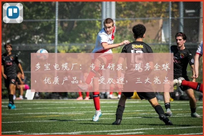 多宝电缆厂：专注研发，服务全球，优质产品，广受欢迎，三大亮点呈现